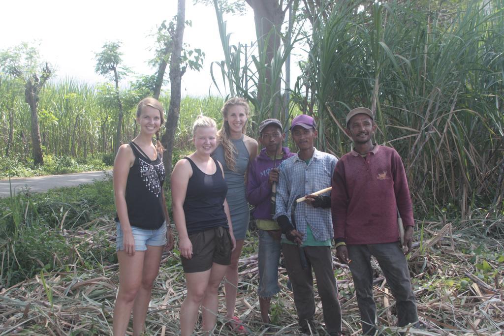 Ijen Bondowoso Home Stay Kültér fotó